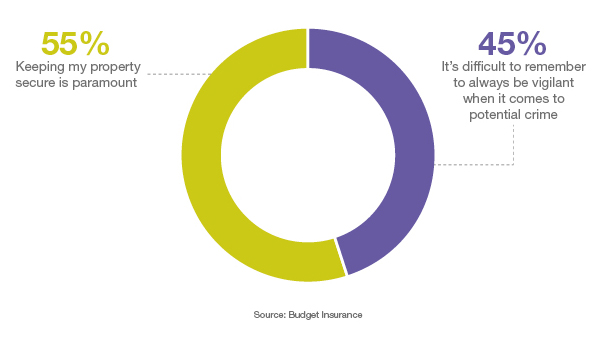 Budget Crime Statistics Pie