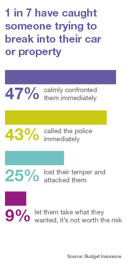 Car Break In Statistics