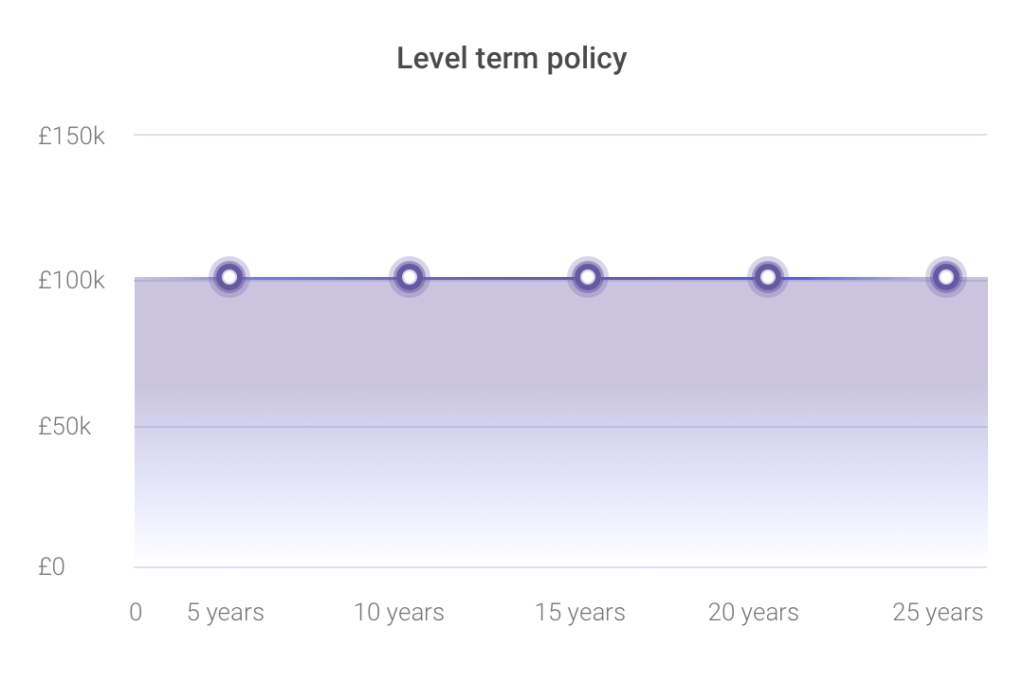 Budget Life Insurance Level Term Explained